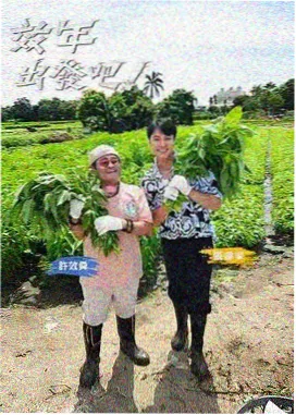 剪辑版与原唱母版听感差异配图